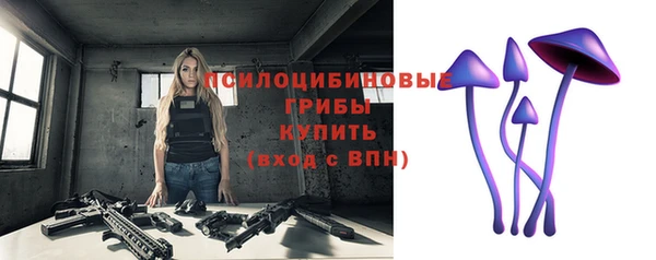 2c-b Рославль