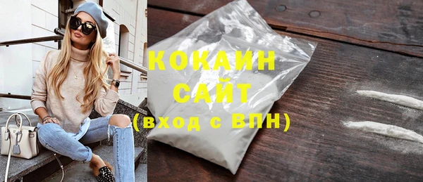 шишки Верхний Тагил