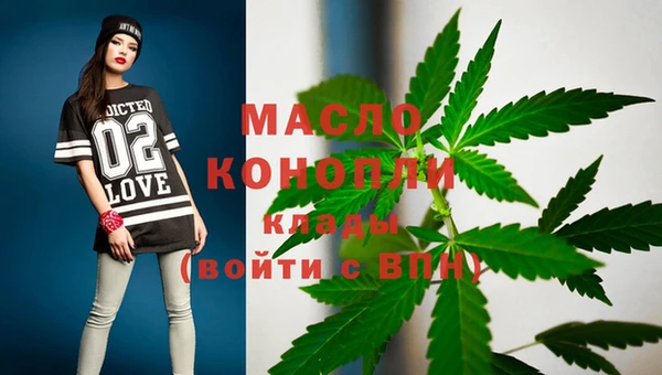 шишки Верхний Тагил